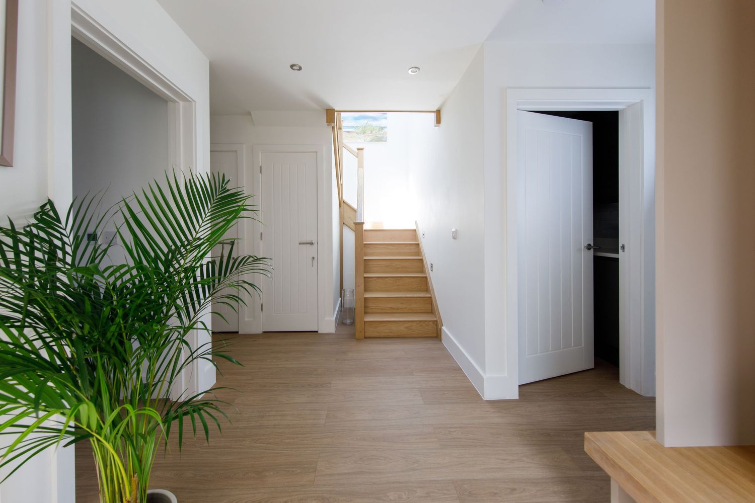 Light-filled hallway with wooden staircase, white walls, and potted palm plant.