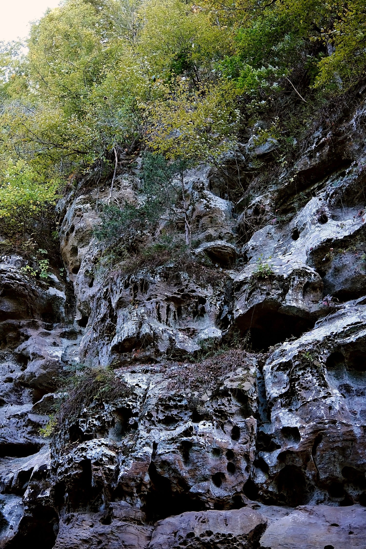 A towering cliff of carved limestone