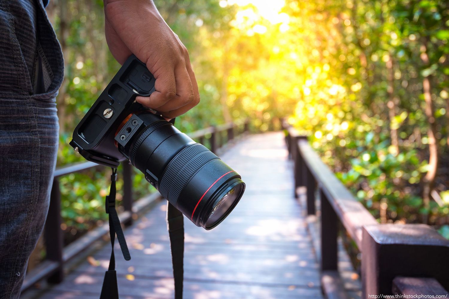 Photographer holding a professional DSLR camera with a large lens on a wooden bridge path surrounded by lush green trees.