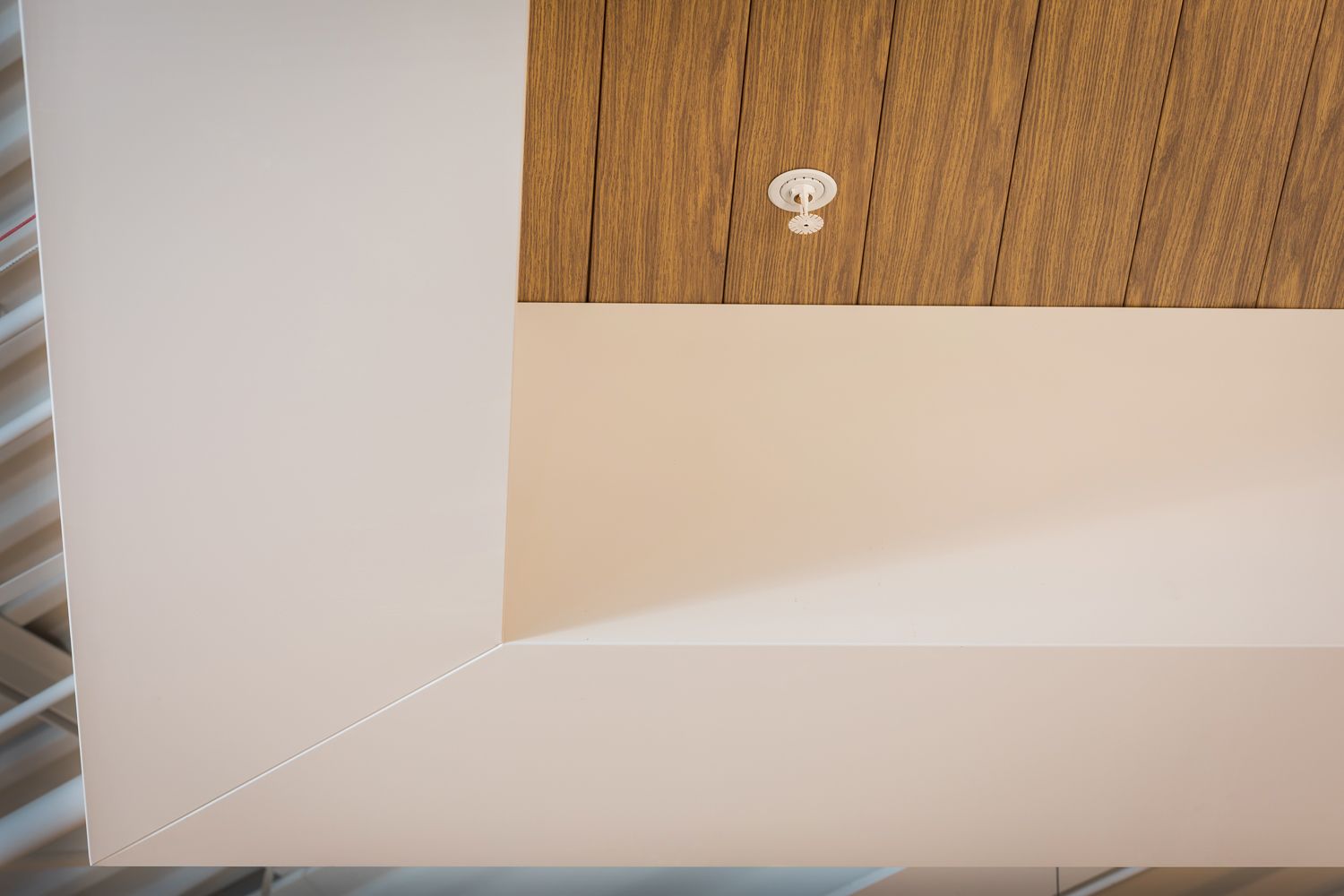 Photography of Morris Home Retail Store architectural Ceilings