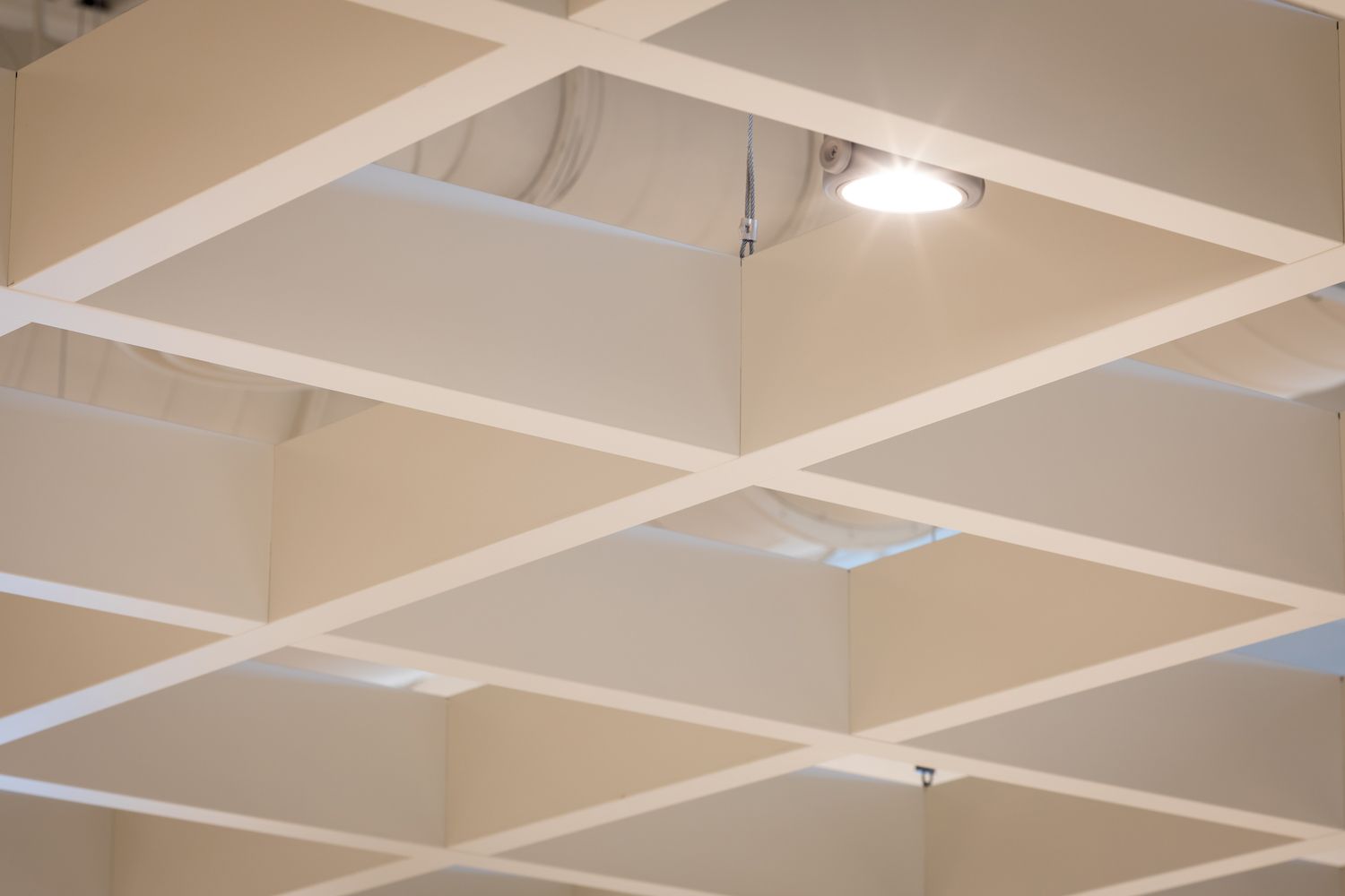 Photography of Morris Home Retail Store architectural Ceilings