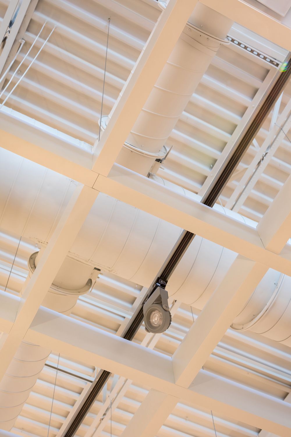 Photography of Morris Home Retail Store architectural Ceilings