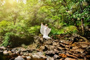 Sunlit forest scene with lush greenery and rocky terrain.