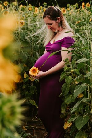 Pregnant woman in purple dress standing among blooming sunflowers in a garden setting.