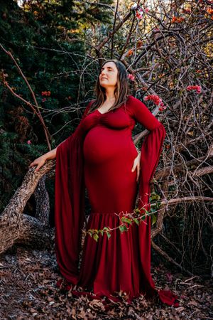 Dramatic maternity portraits in deep red dress against natural foliage.