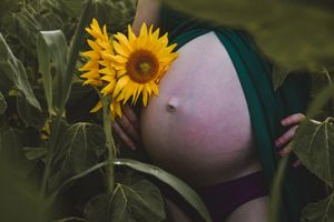 Close-up view of pregnant belly against backdrop of tall sunflower plants.