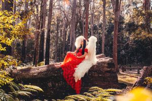 Forest scene with sunlight filtering through trees and red accent pieces in nature.