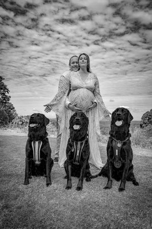 Three black dogs sit in a row on grass against a dramatic cloudy sky.