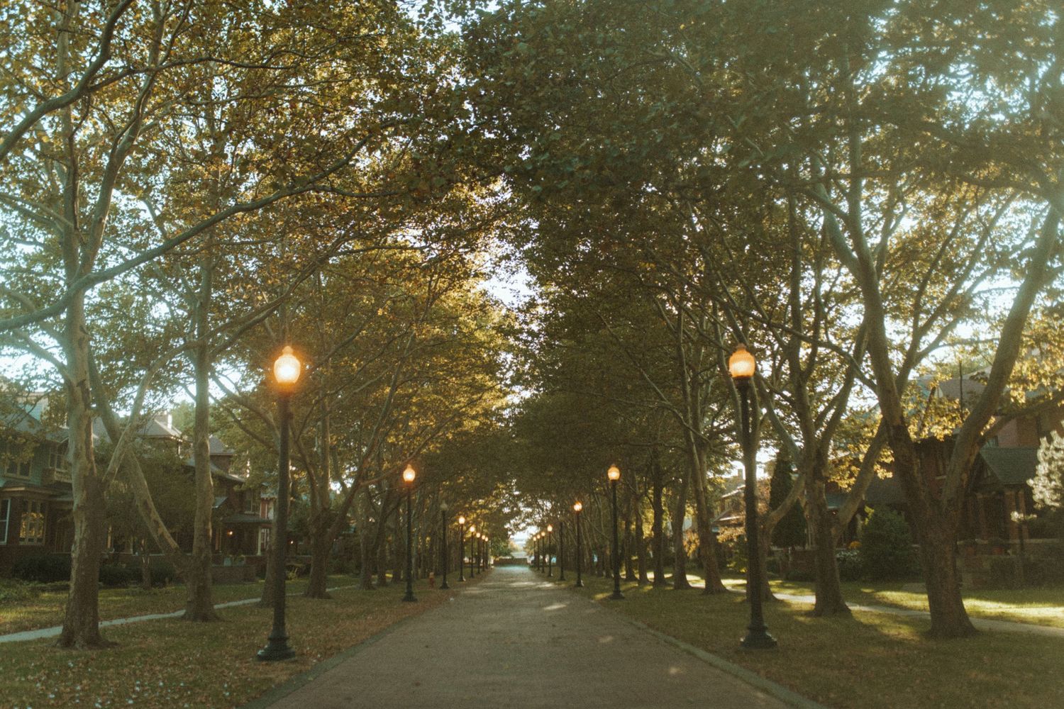 A tree-lined brick pathway with glowing lampposts stretches into the distance during golden hour.