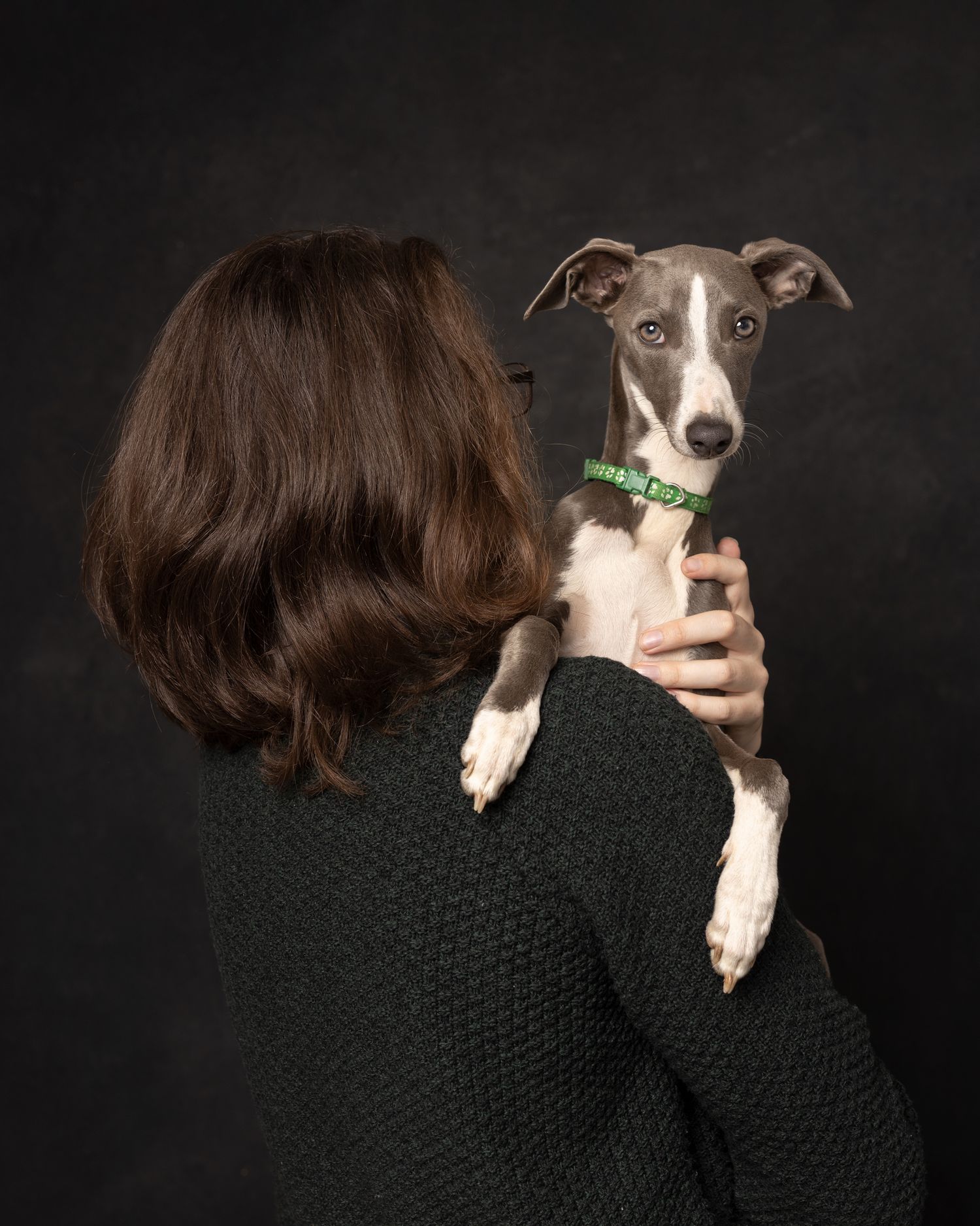 My pet and me Italian hound Lurcher, Studio Pets Photographer Dog's photoshoot Northampton www.elenabrownportraits.co.uk