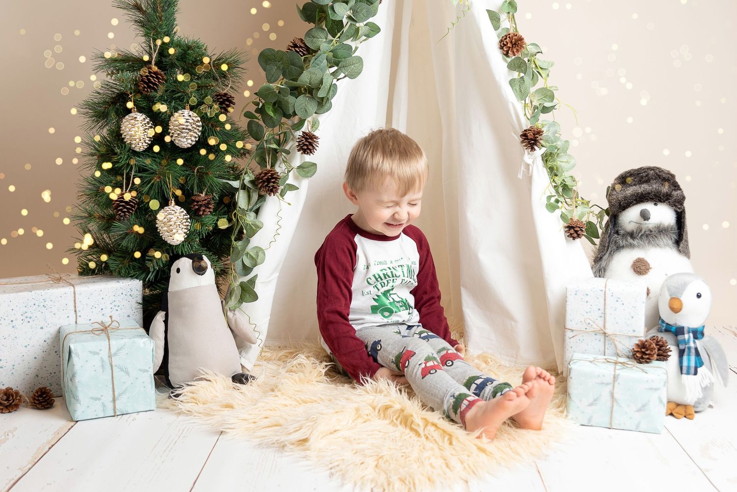 Winter Wonderland Christmas mini session
