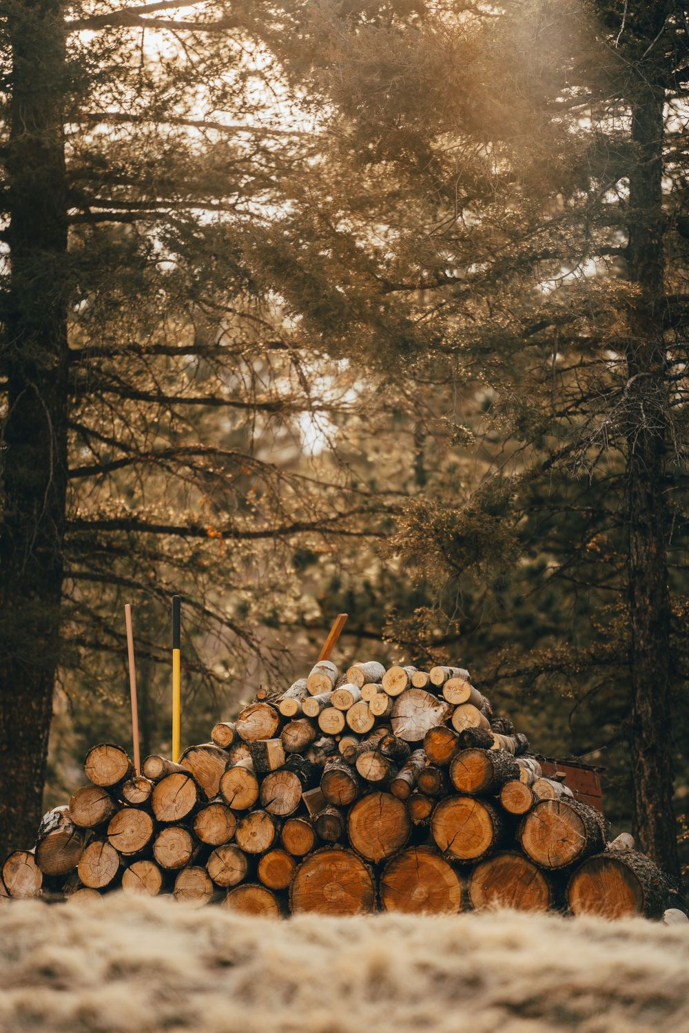 Zach Stewart In Colorado