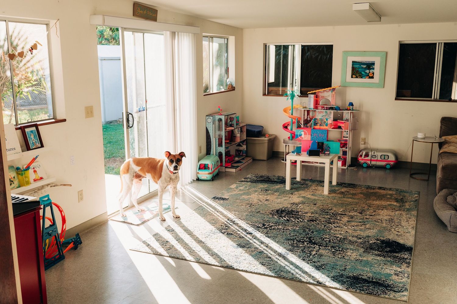 A dog stands in a sunlit room with toys and furniture scattered around.