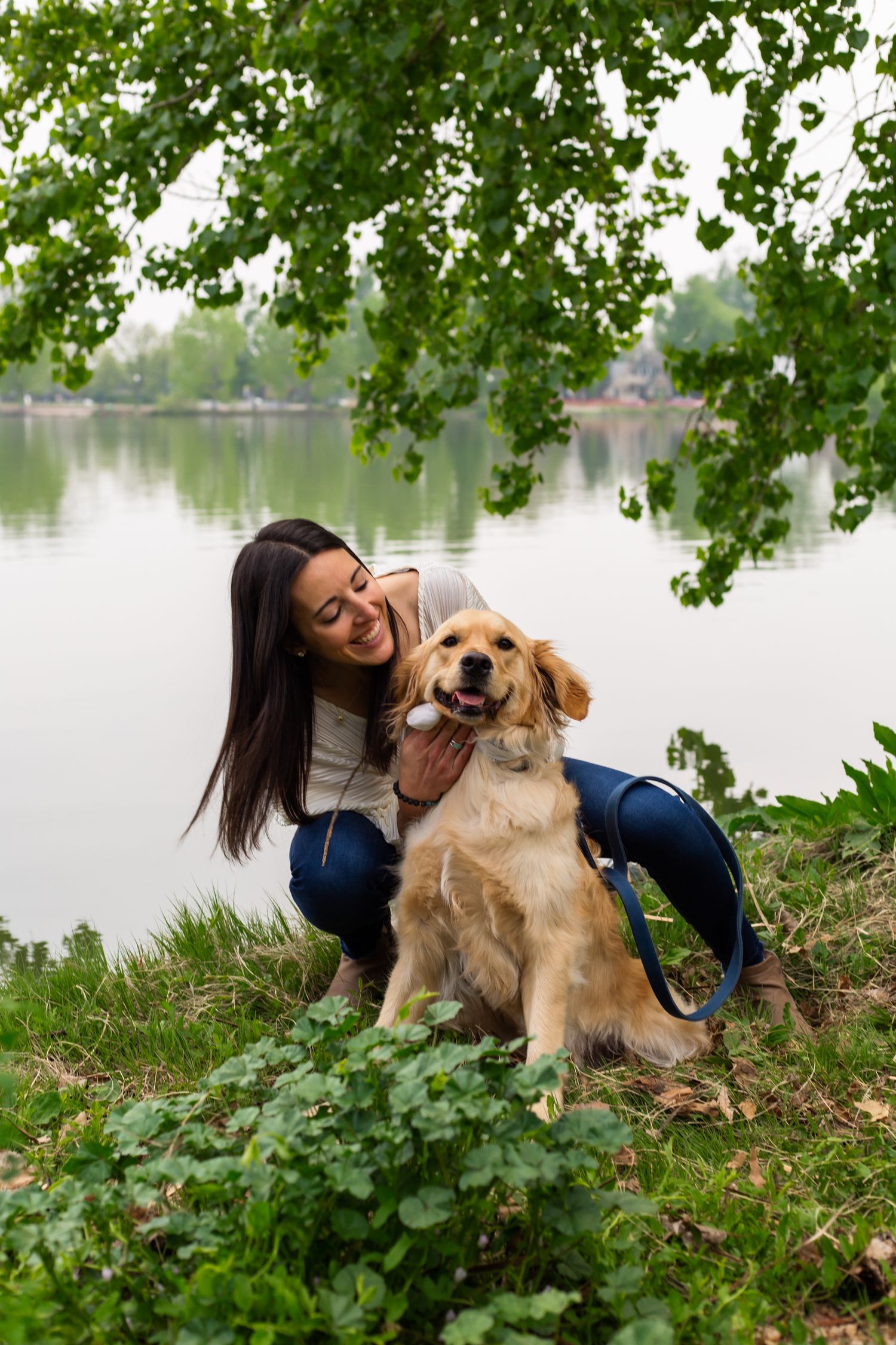 Colorado dog portrait photographer, Denver dog portrait photographer, Littleton dog portrait photographer