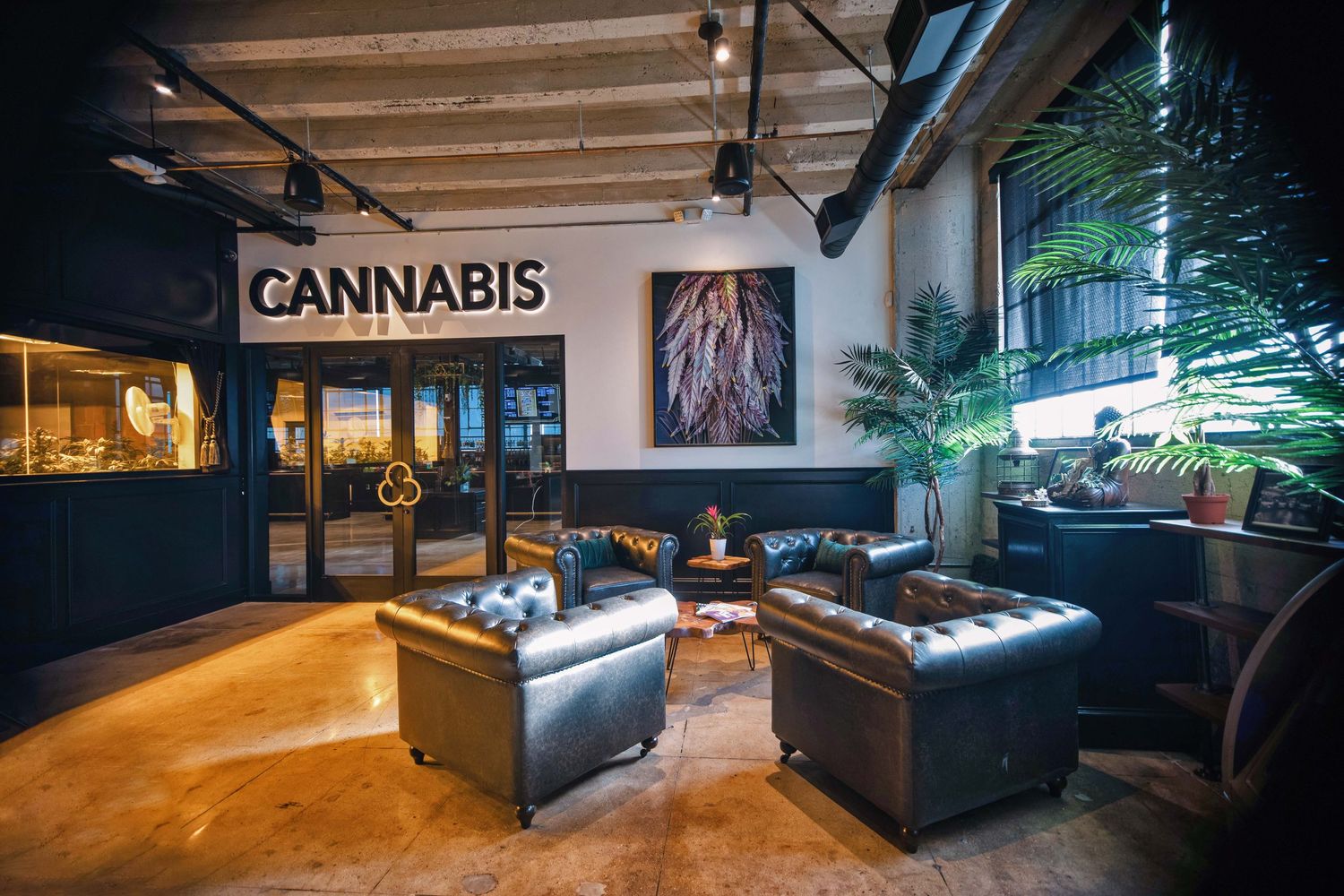 Upscale cannabis lounge with leather sofas, wood ceiling, and illuminated Cannabis sign.