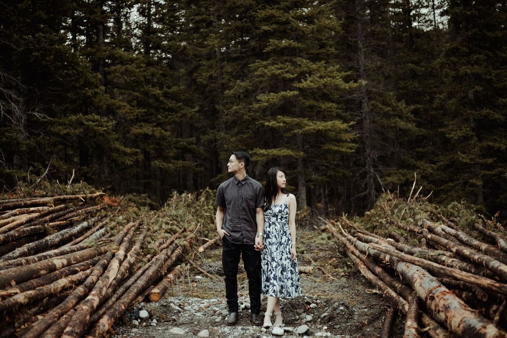 tree logs engagement session