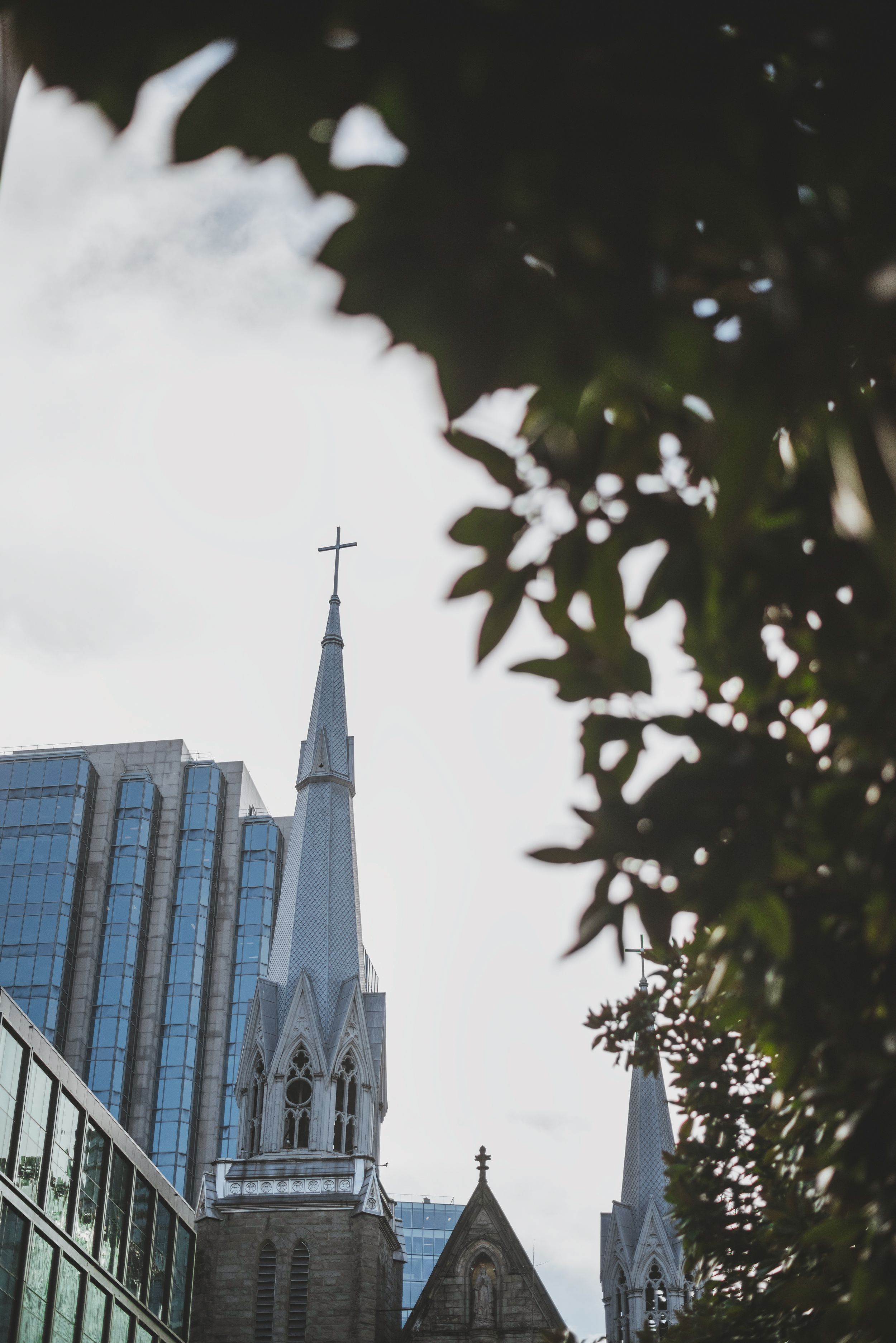 Modern church spires and towers rise against an urban skyline, framed by leaves.