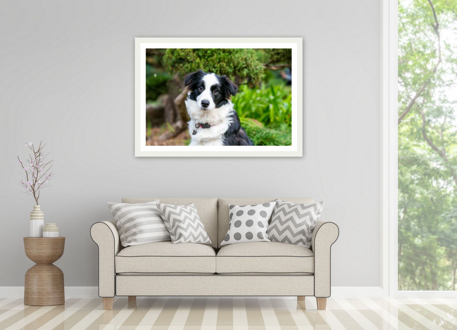 Adelaide Pet Portait Photography