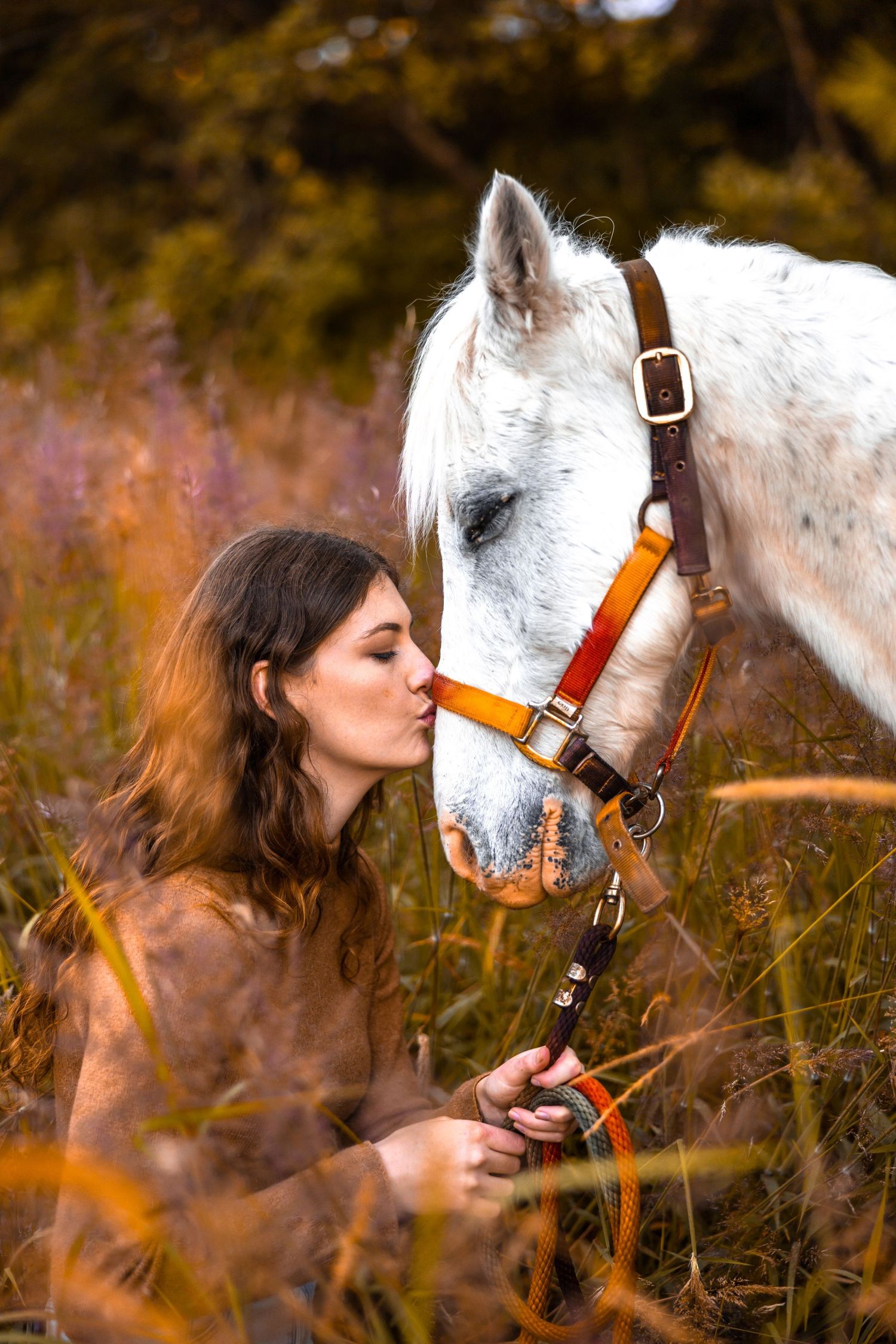 Afternoon sunset photo with teenage female on left hand side of frame kissing her pony which is positioned on the right side of image.