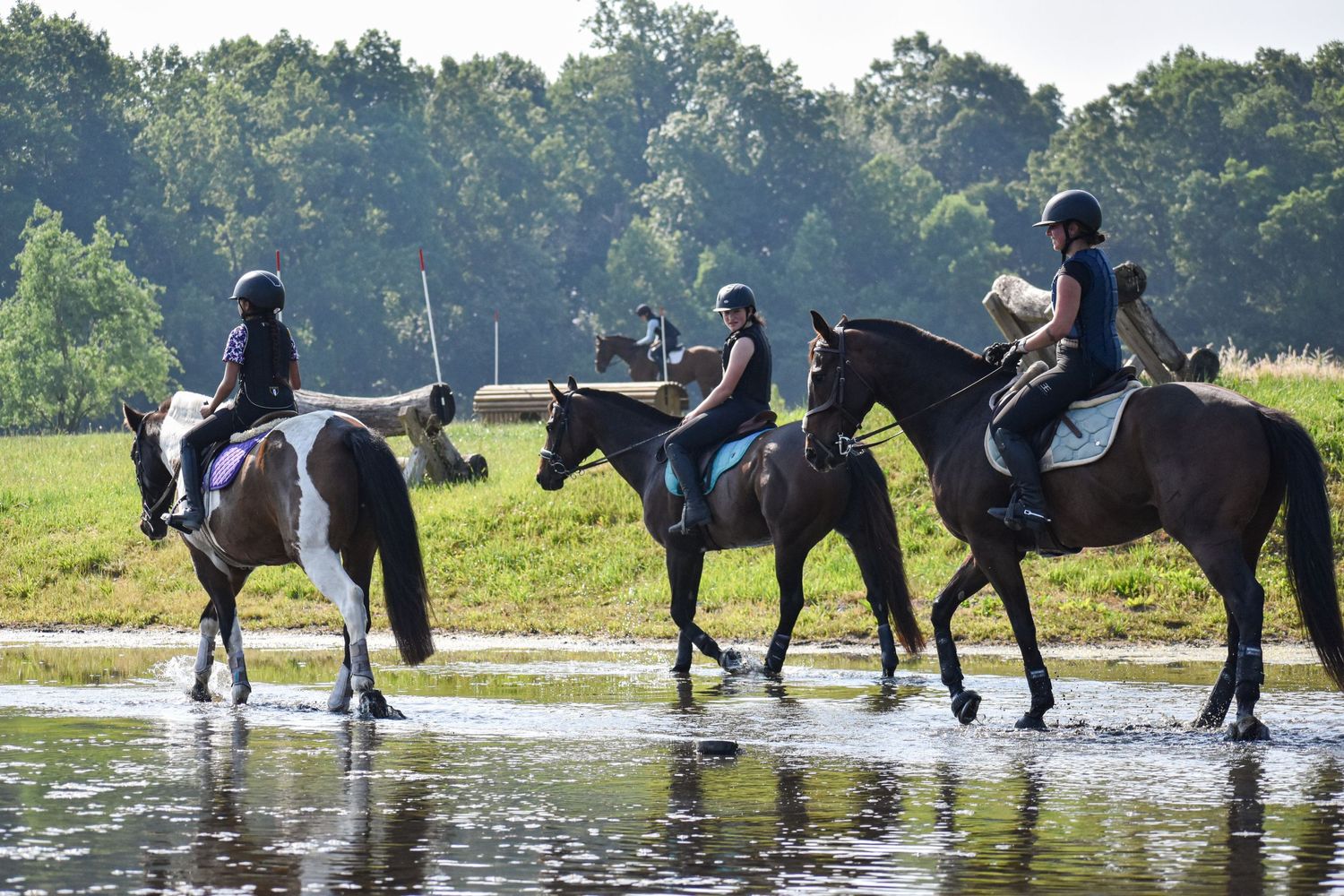 three horses walking through shallow water