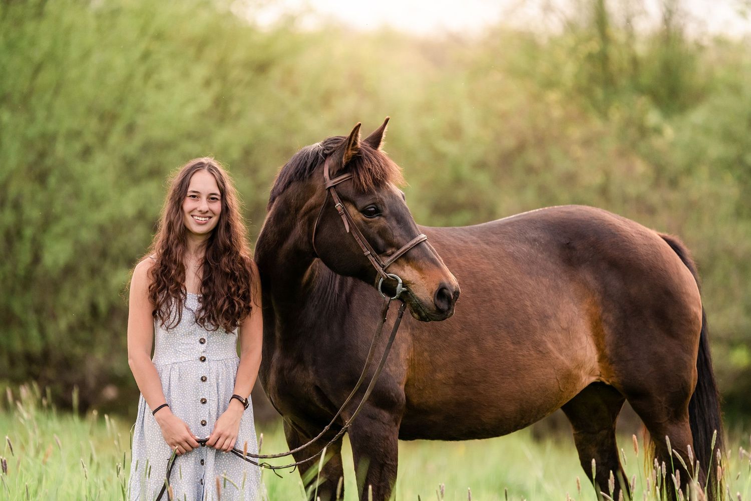 Girl in a pale blue dress with a bay horse, golden hour lighting