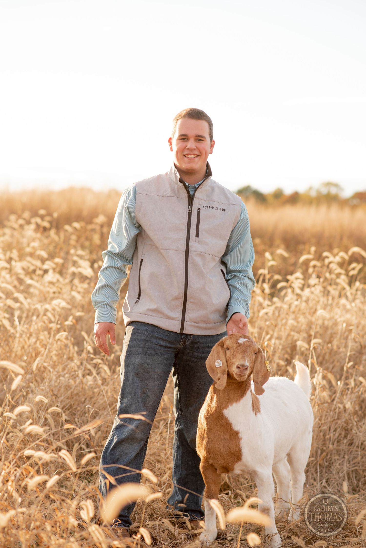 Person walks with two Boer goats through golden field at sunset.