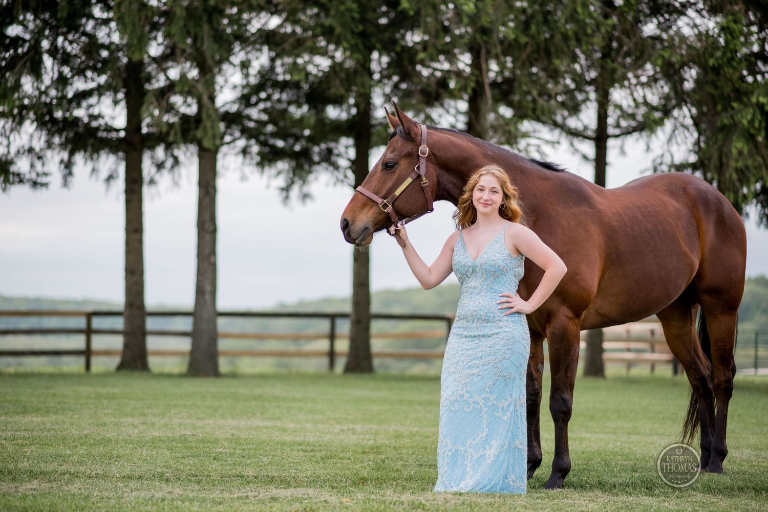 A bay horse and someone in a flowing blue dress pose together in front of evergreen trees.