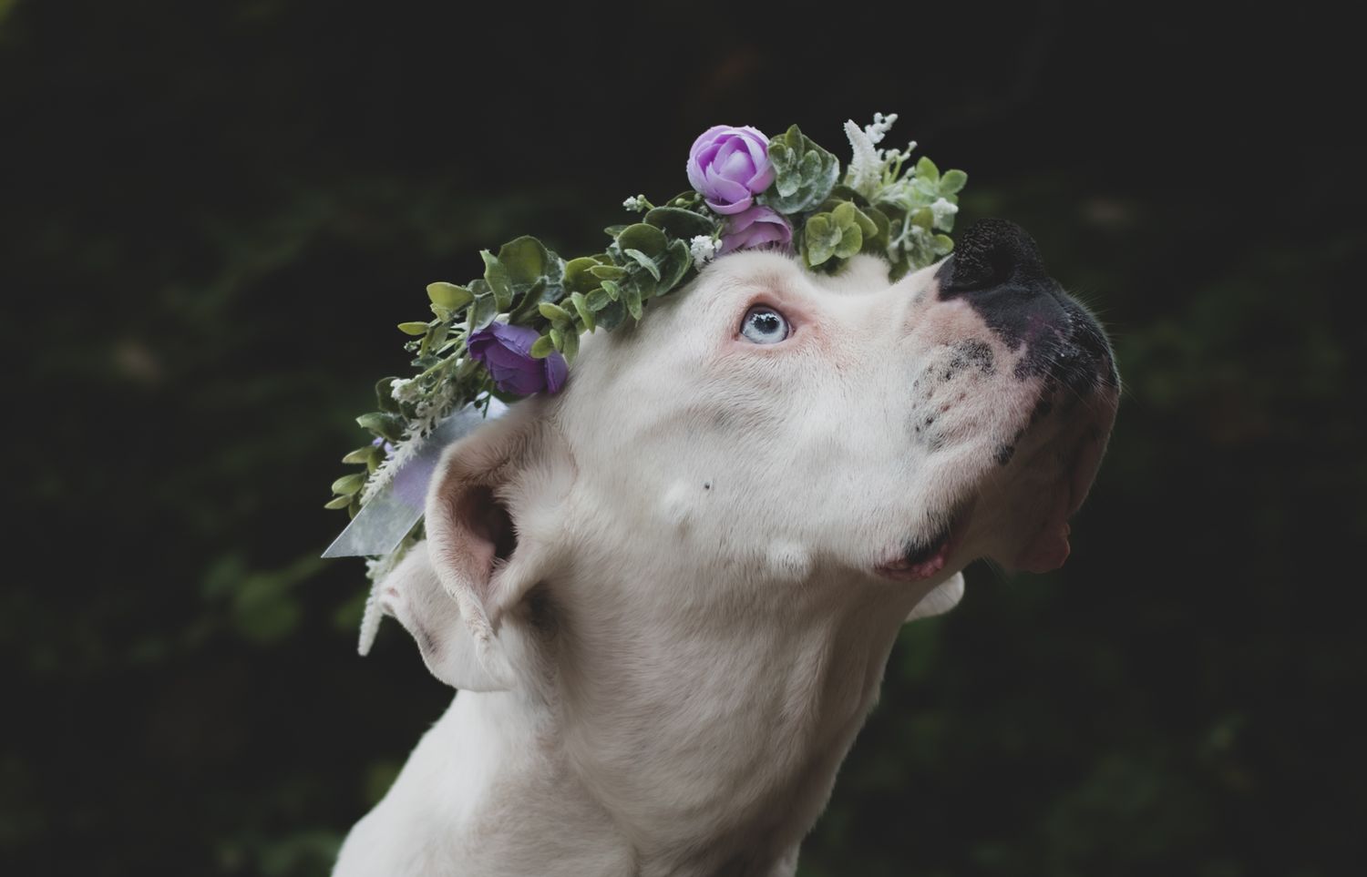 Beth Piper Photo Co