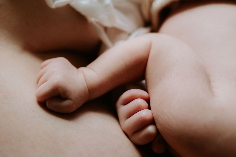 Bulimba photographer, brisbane newborn photographer, brisbane maternity photographer, brisbane family photographer,