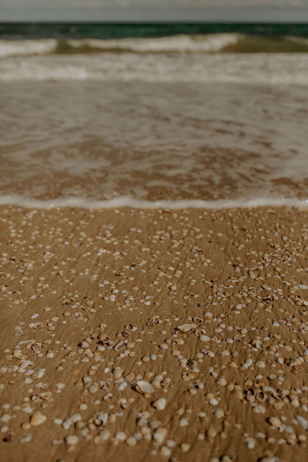 Ocean waves washing over sandy beach covered in small shells and pebbles.