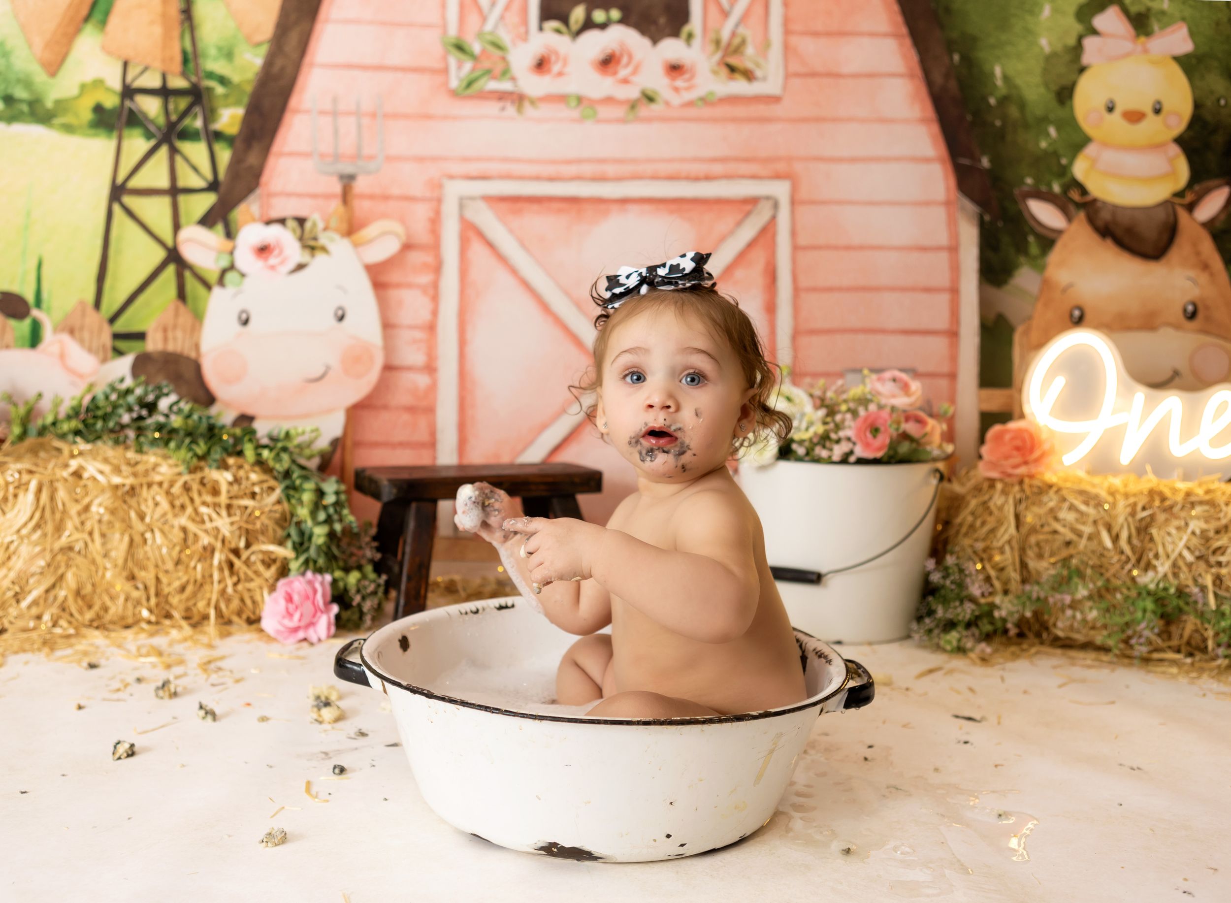 York Pa Cake Smash photographer, dover pa photographer, hanover pa photographer, south central pa cake smash photographer