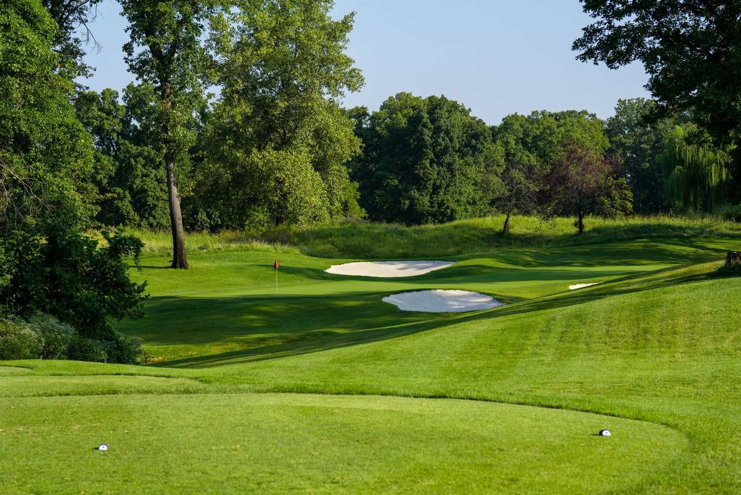 Beautiful golf course with manicured green fairway and sand bunker surrounded by trees.
