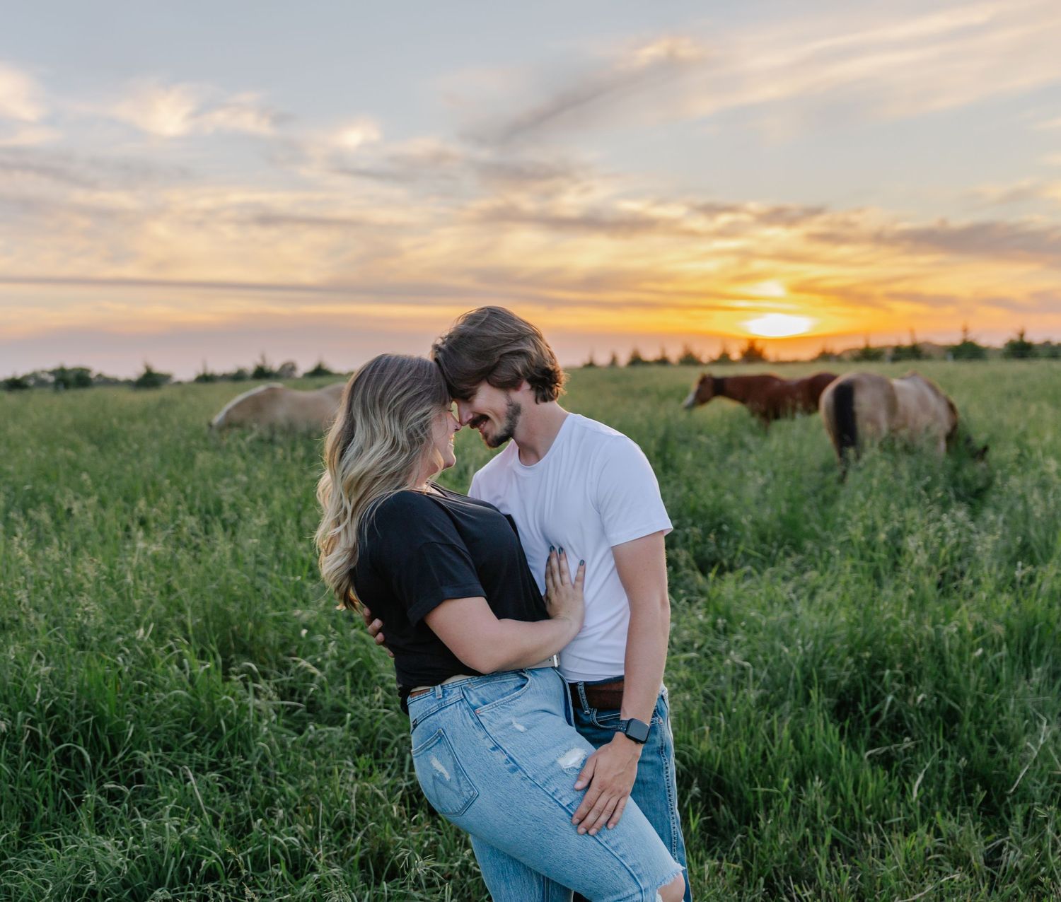 A romantic couple embraces in a grassy field at sunset with horses grazing in the background.