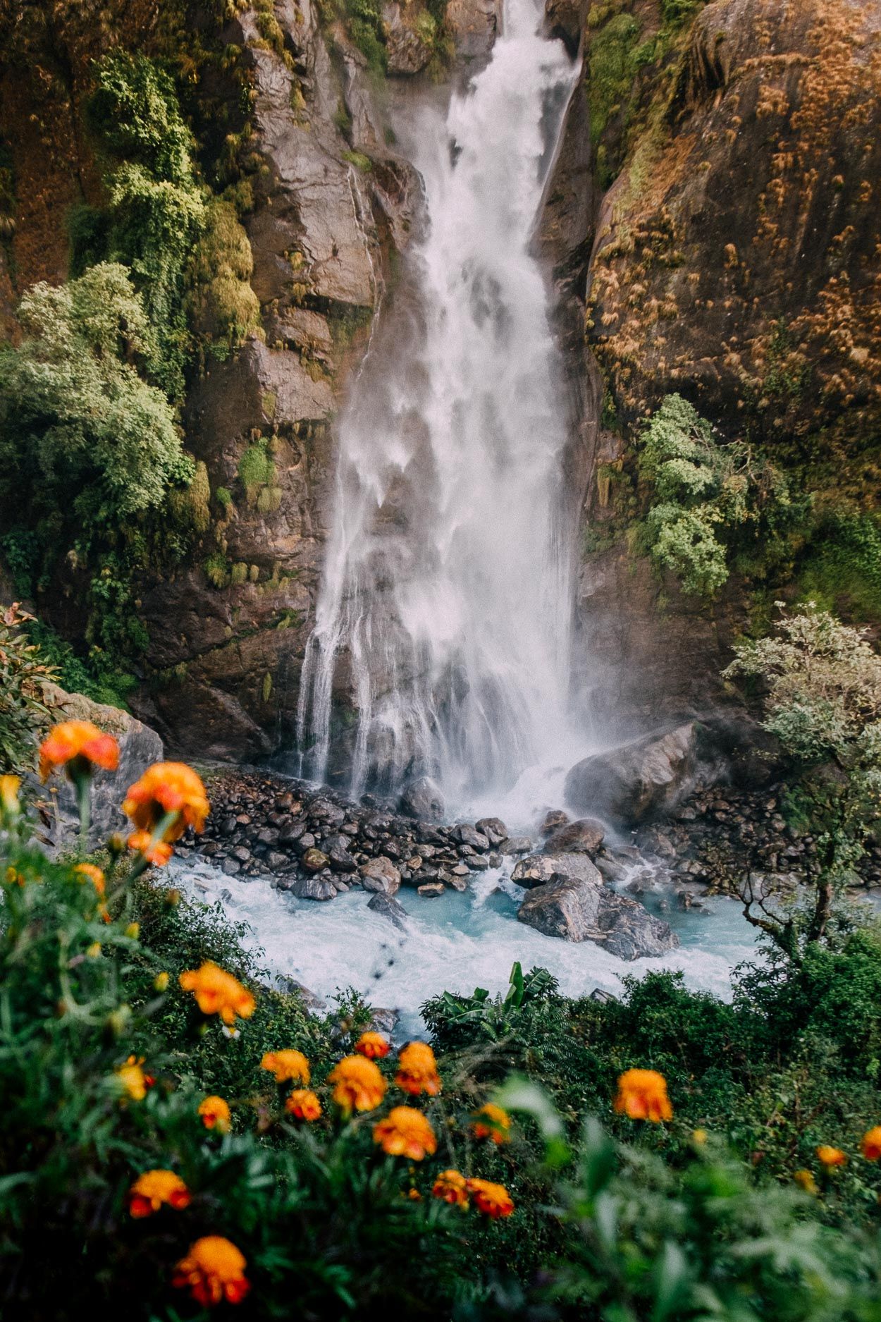 Mountain Waterfall with Orange Flowers