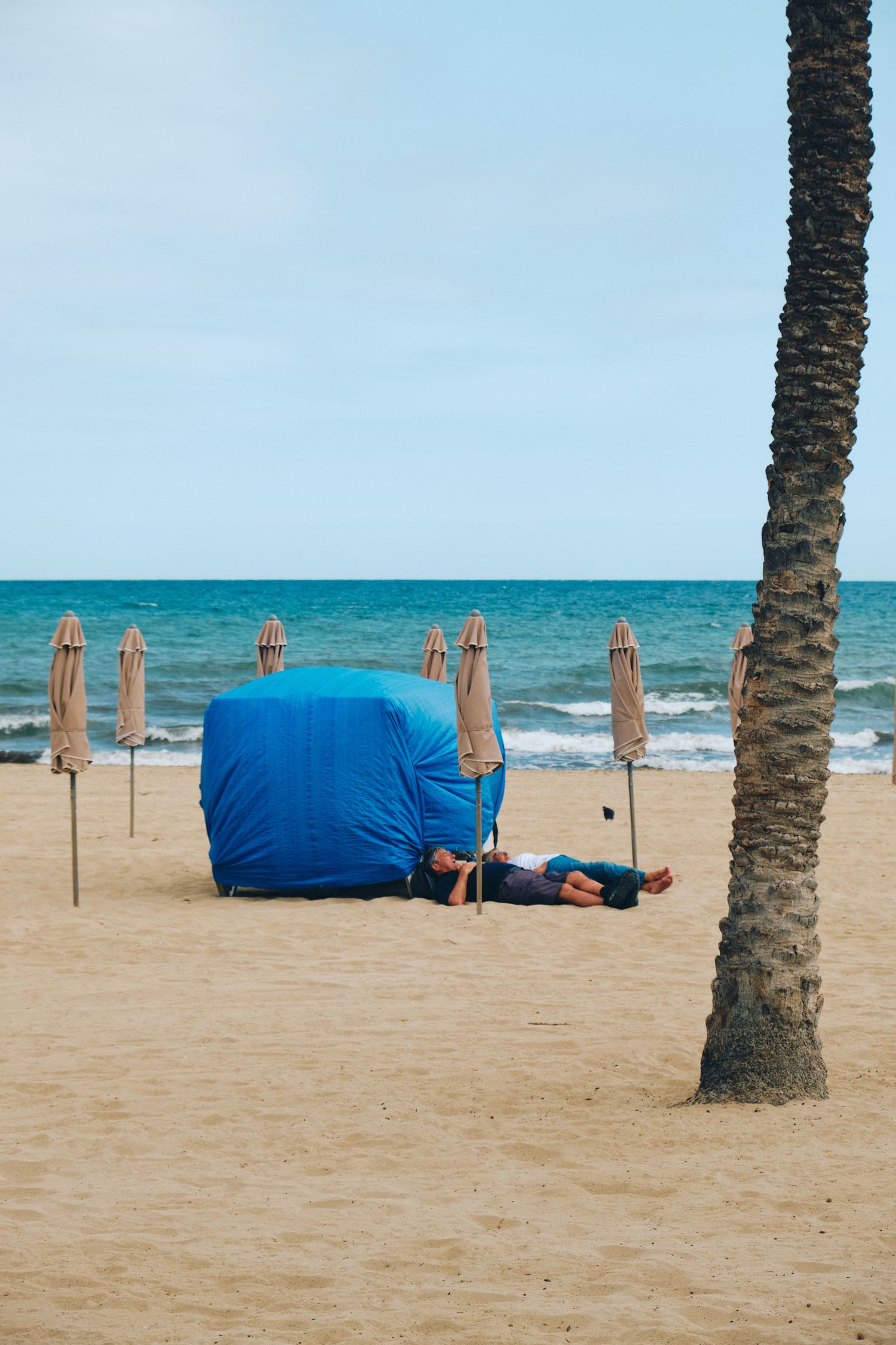 Blue tent shelter on a sandy beach with folded umbrellas and palm tree.