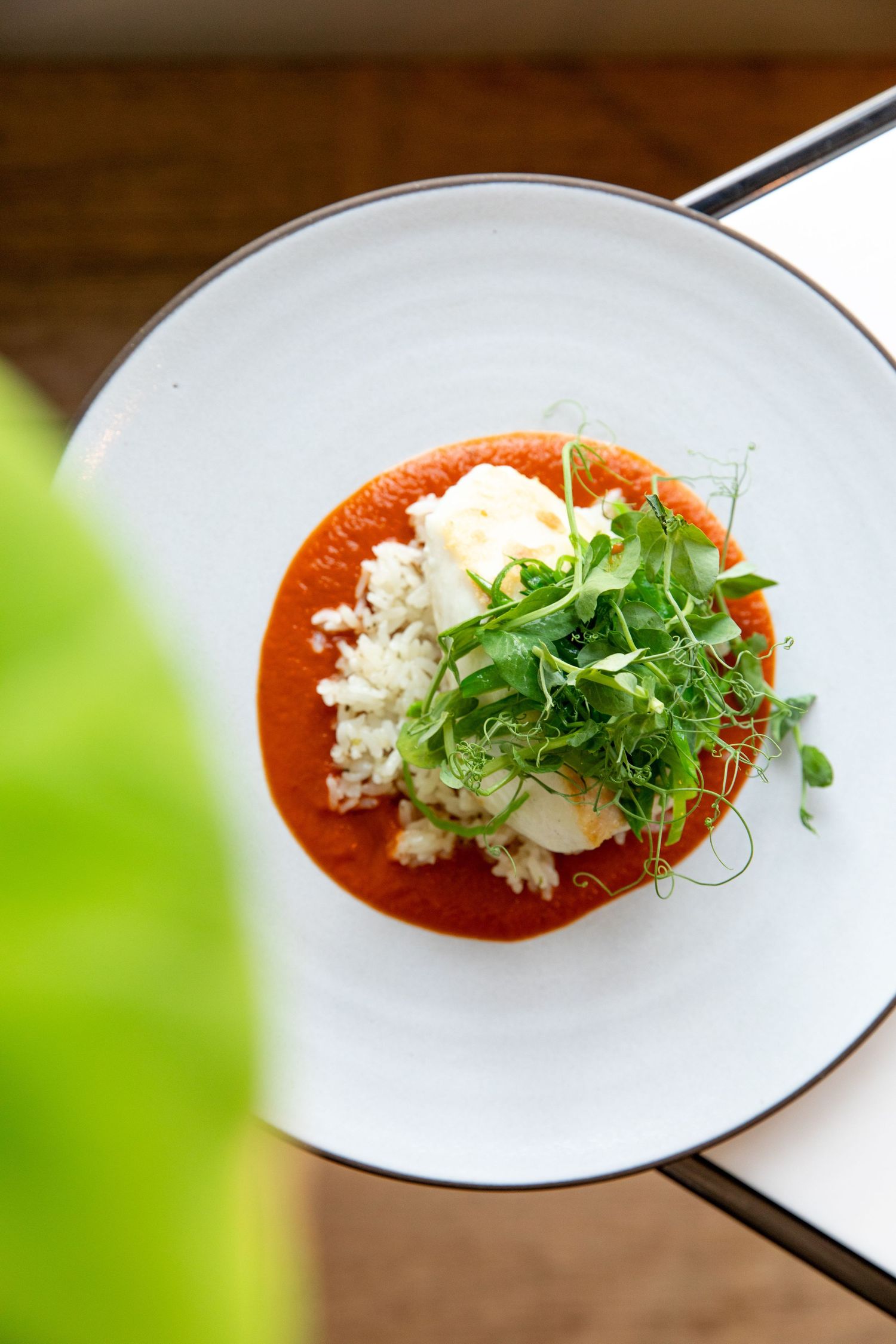 Rice dish with bright red tomato sauce and fresh microgreens in a white bowl.