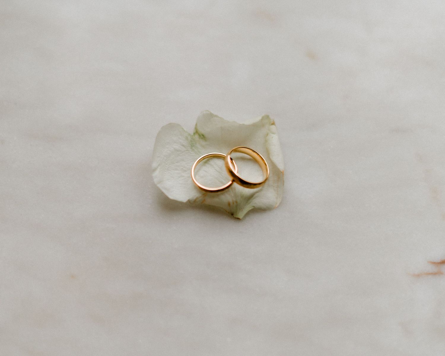 Two gold wedding rings resting delicately on a white rose petal against a light marble background.