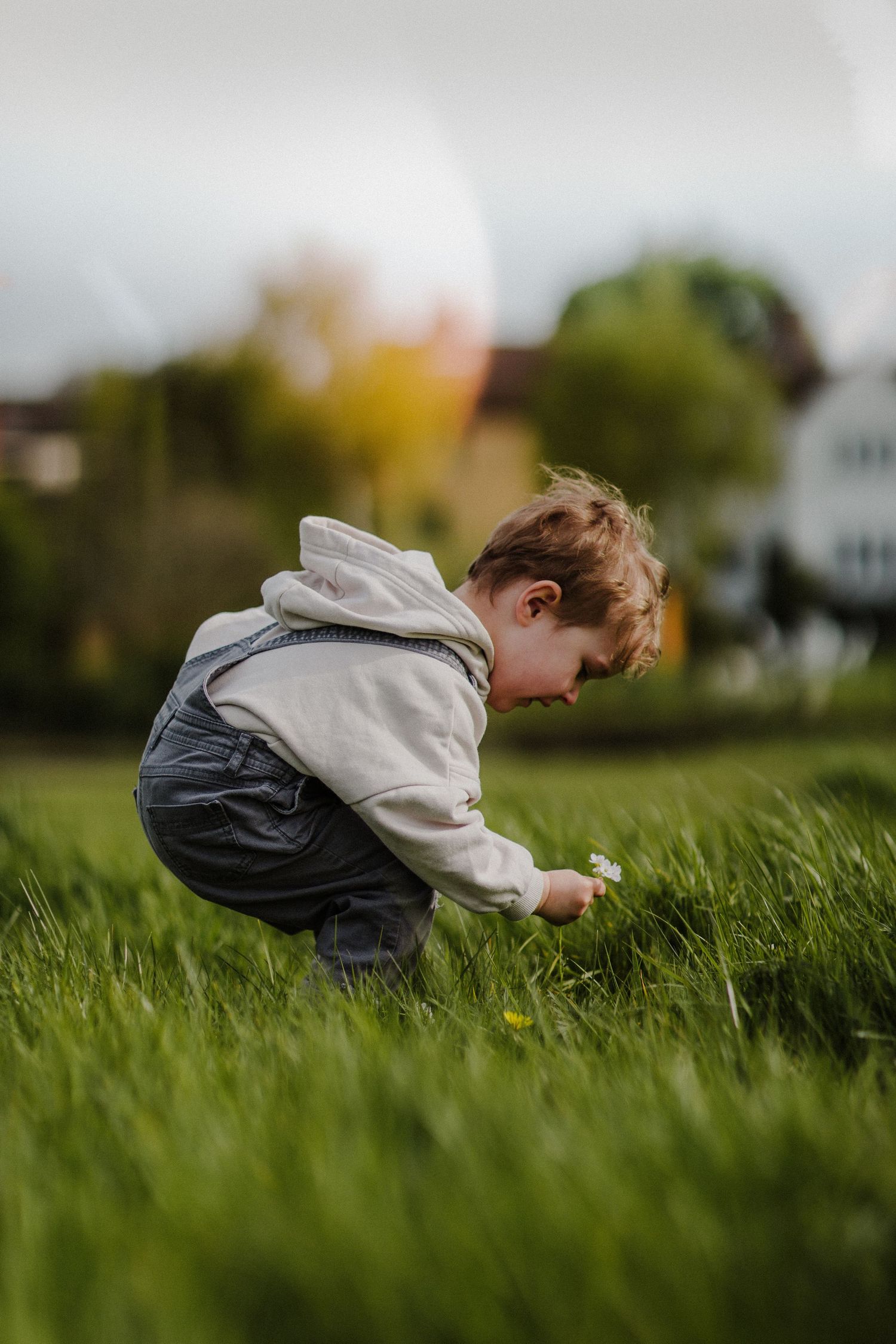 A toddler in a gray hoodie and overalls crouches down to examine something in tall grass.