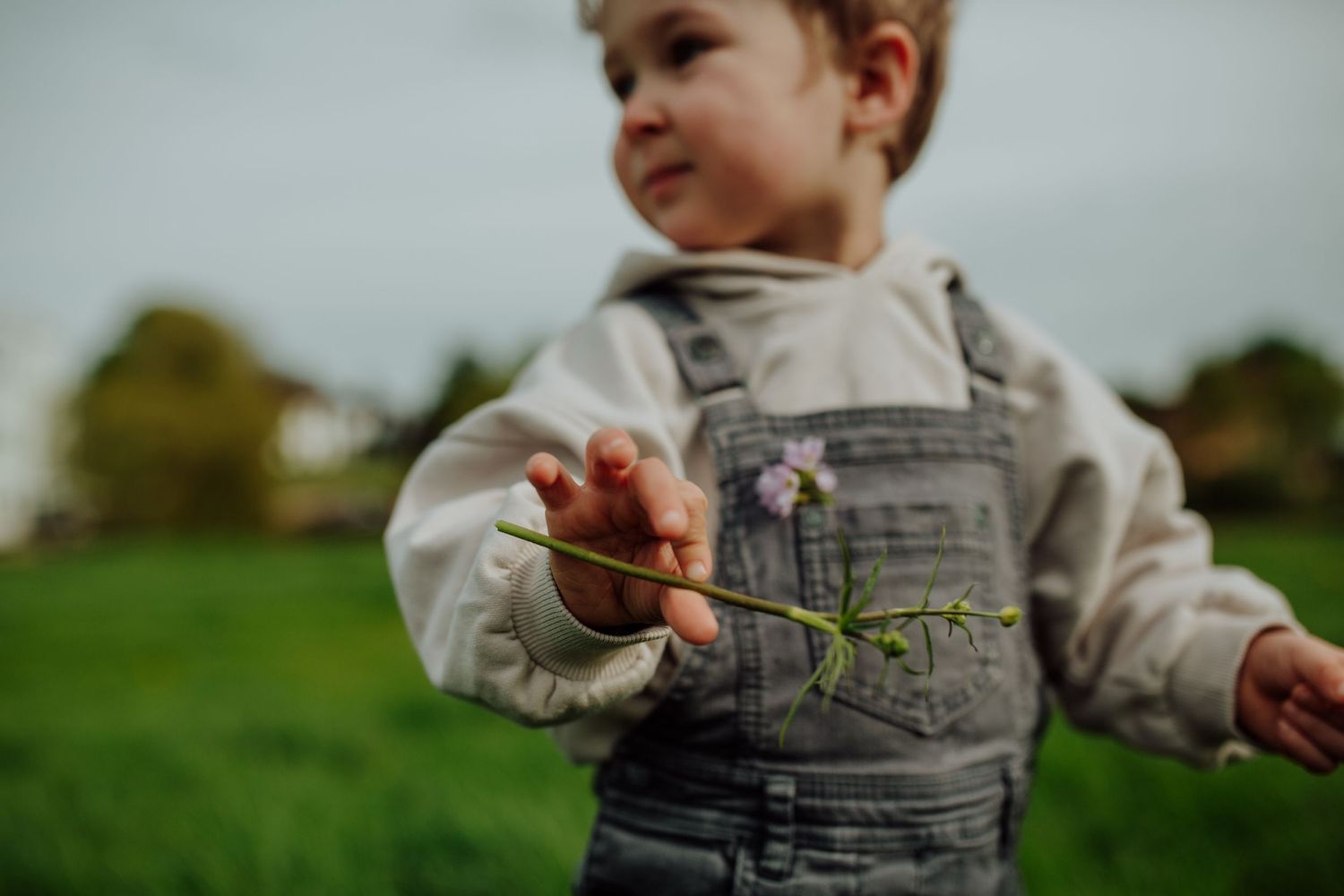 A small child in overalls holds a tiny praying mantis while standing in a grassy field.