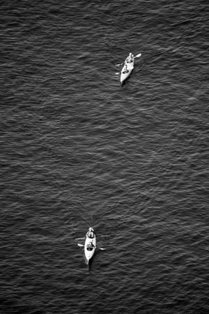 White seabirds soaring over dark rippling ocean waters.