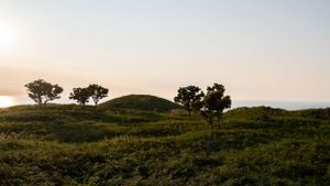 Rolling green hills and scattered trees create a serene landscape panorama.