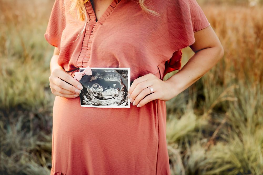 Laura O'Brien Photography
Madison, Wisconsin family and wedding photographer