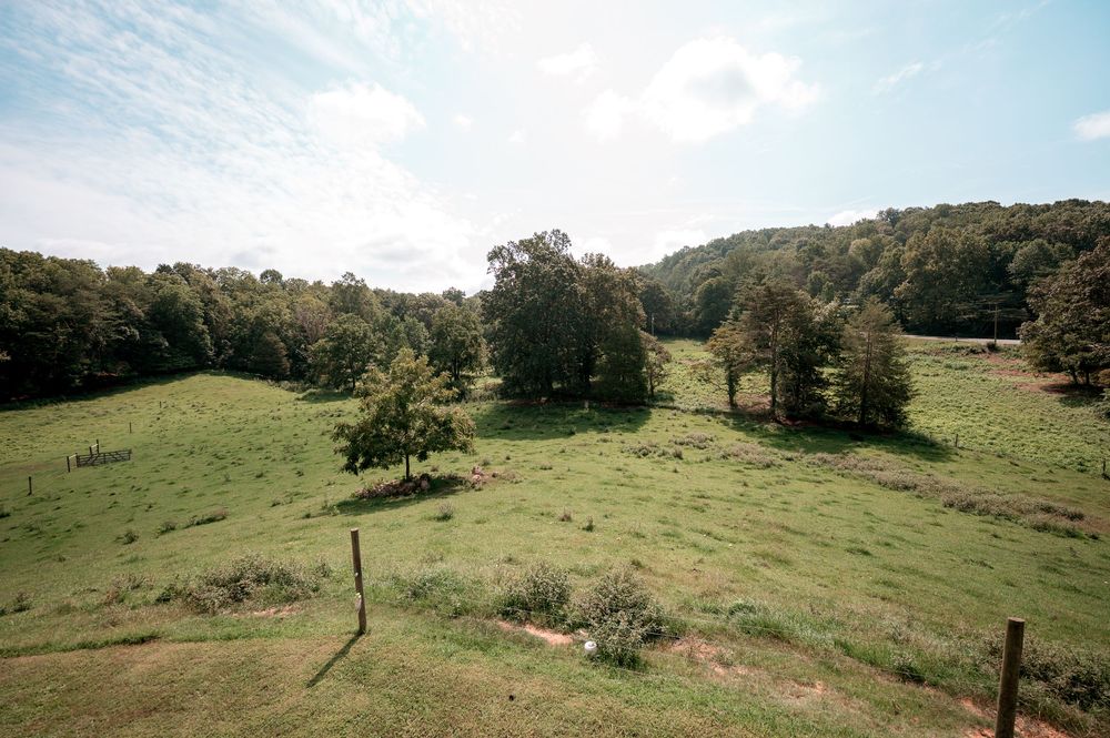 Rolling green pasture with scattered trees and wooden fence posts on a sunny day in rural countryside.