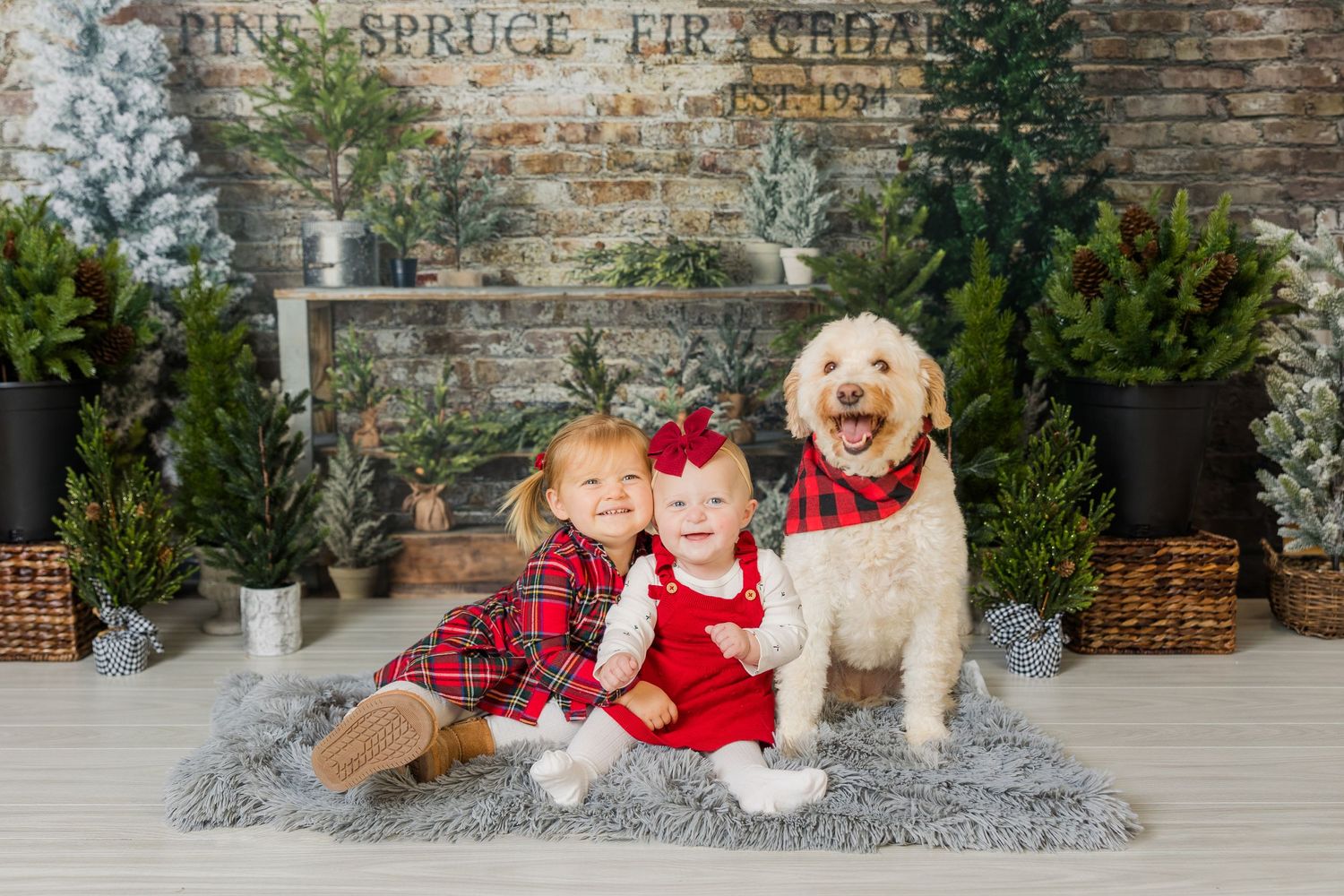 Candid, natural family photography in Ridgefield, Fairfield, Danbury, Wilton, Westport & New Canaan, CT. Capturing love, connection, and las