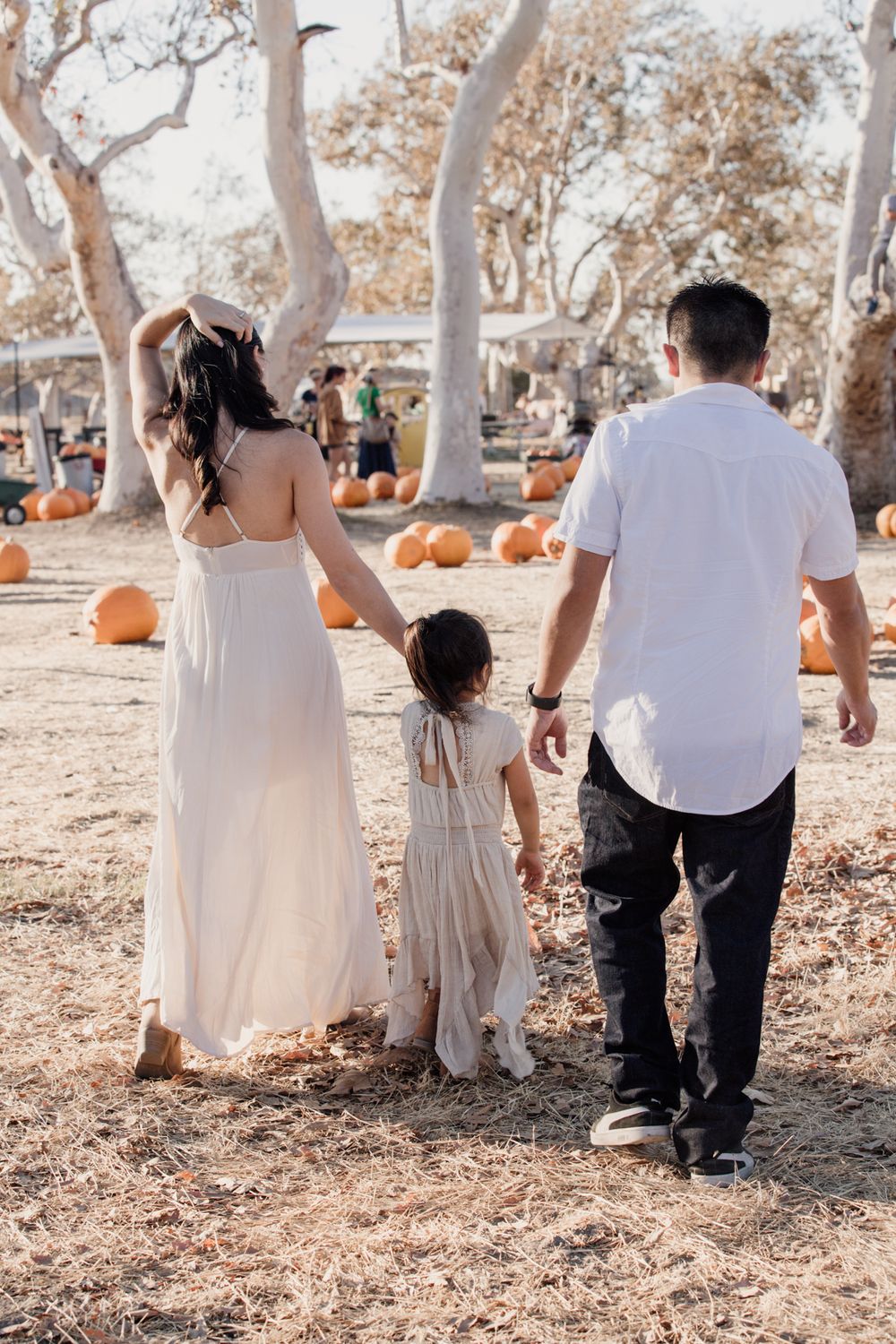 Family walking together through autumn pumpkin patch with white trees in background.