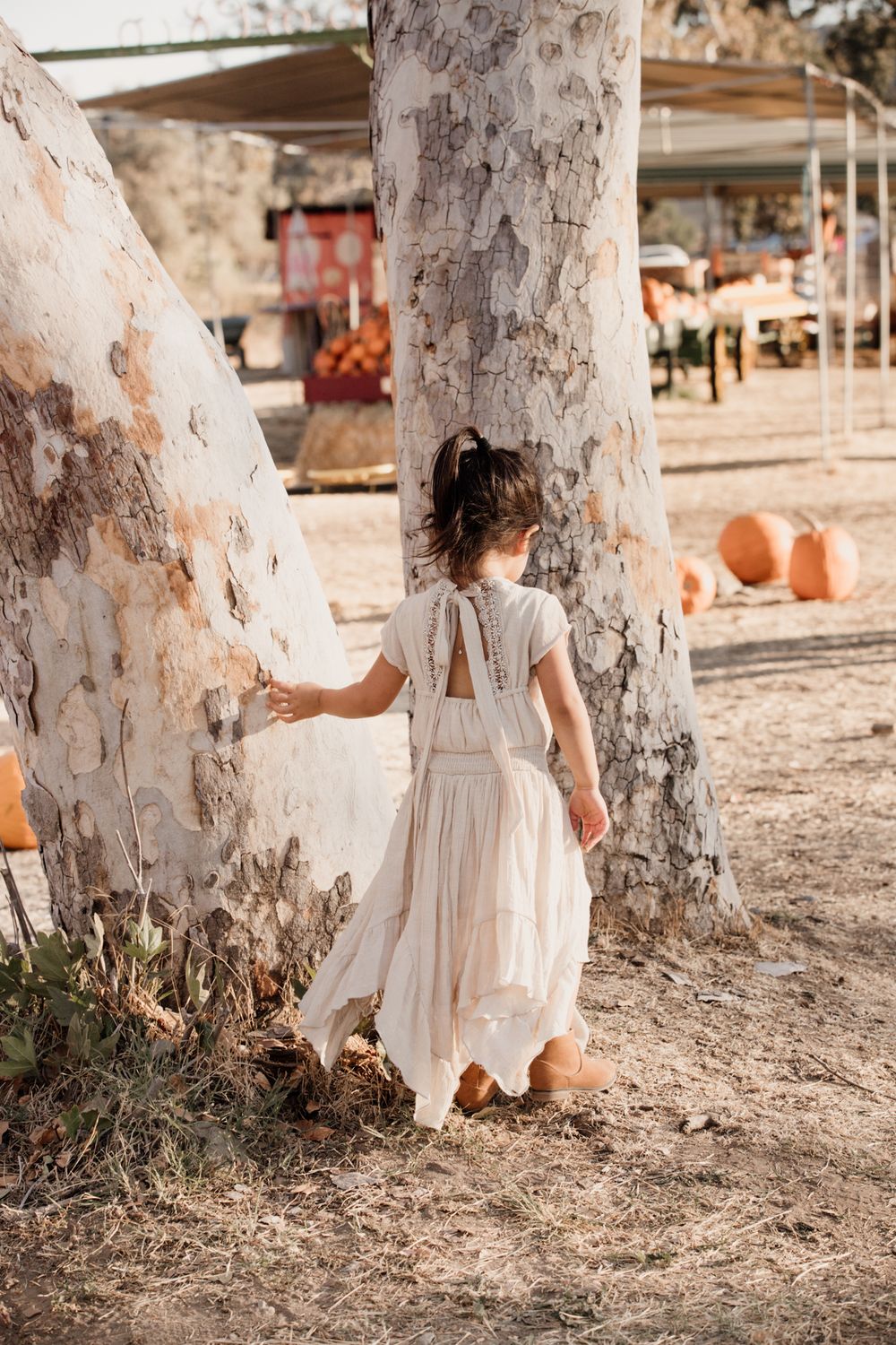 A white flowing dress caught in motion against rustic tree trunks at a pumpkin patch.
