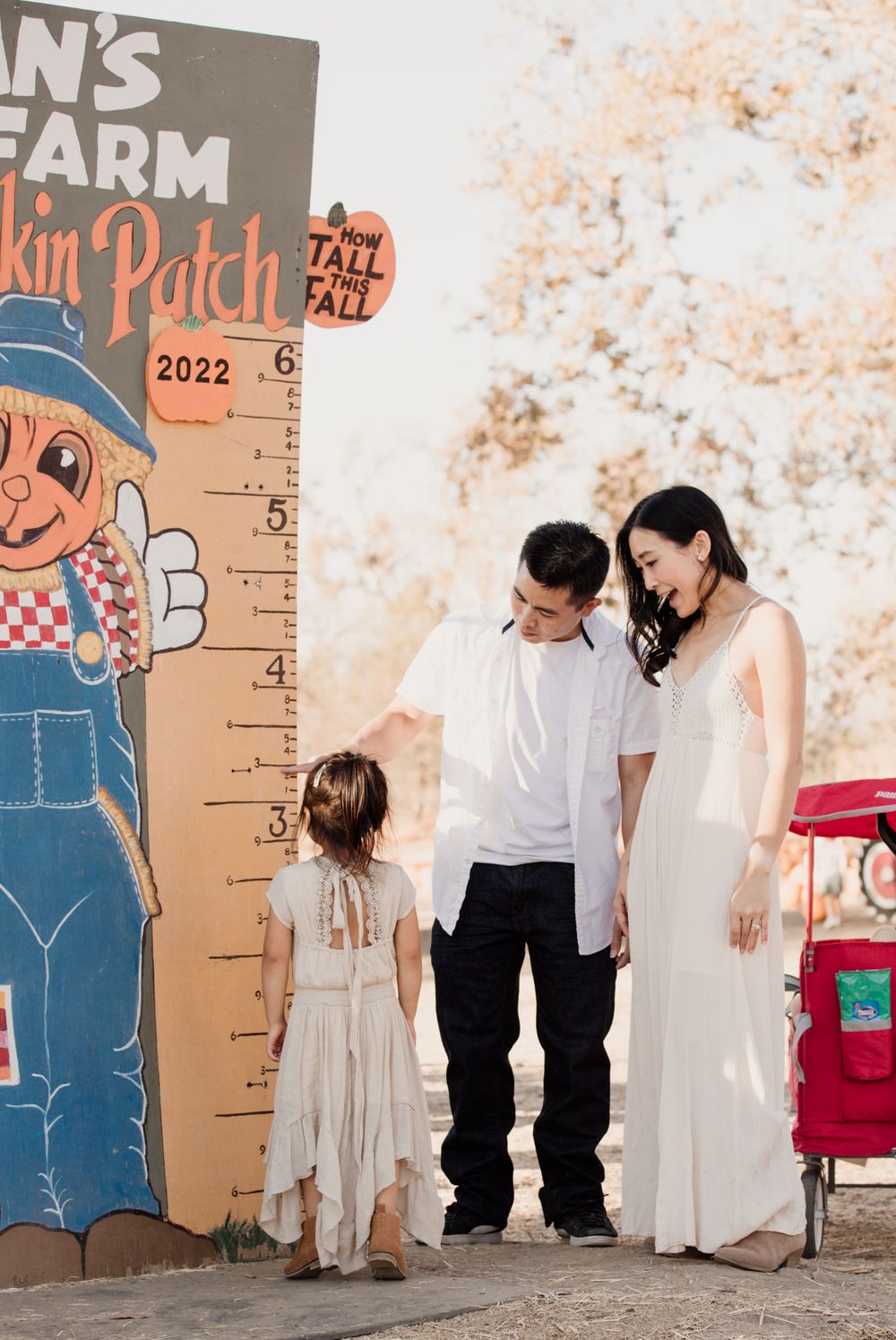 A charming pumpkin patch height measurement board with a vintage farmer character design from 2022.