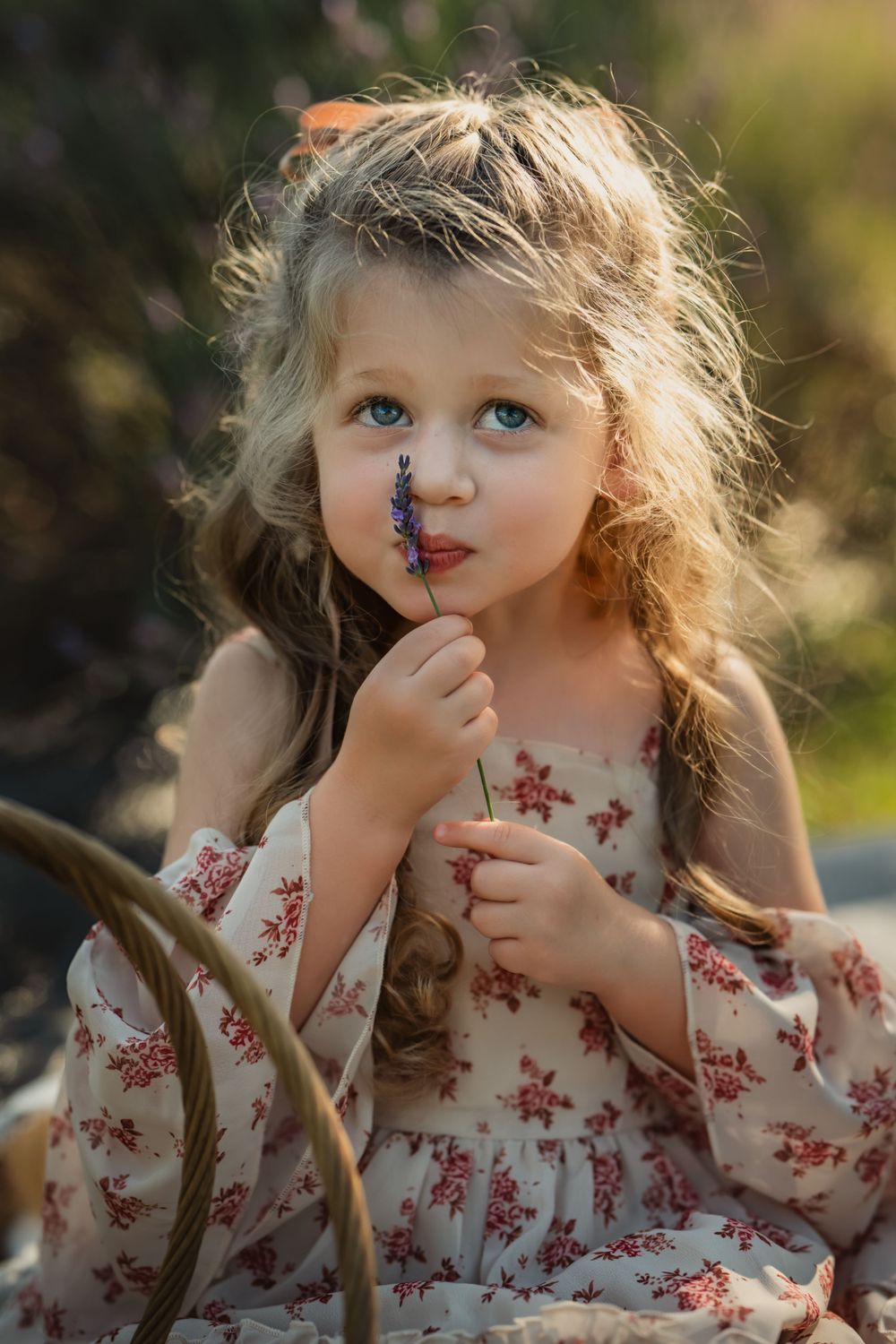 little girl with brown curls kisses lavender flowers
