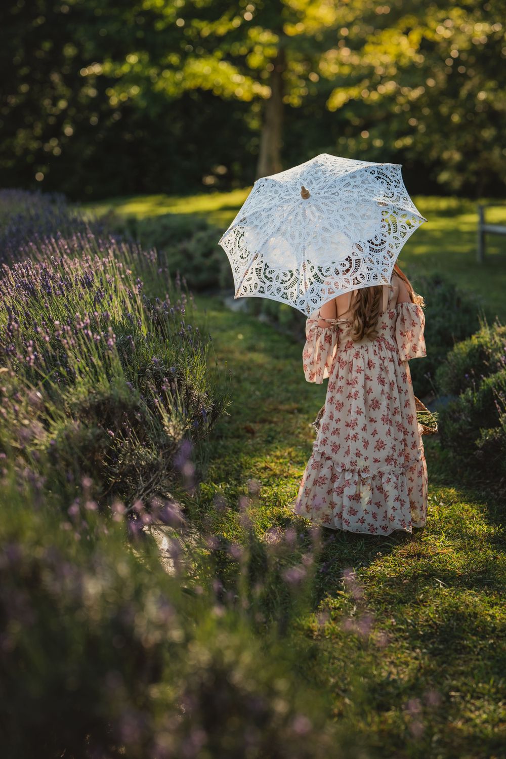 4 year old girl with lace parasol walks away down a row of lavender