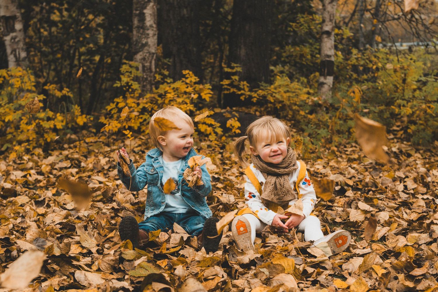 Two happy toddlers laugh and play in a pile of golden autumn leaves in a fall forest.